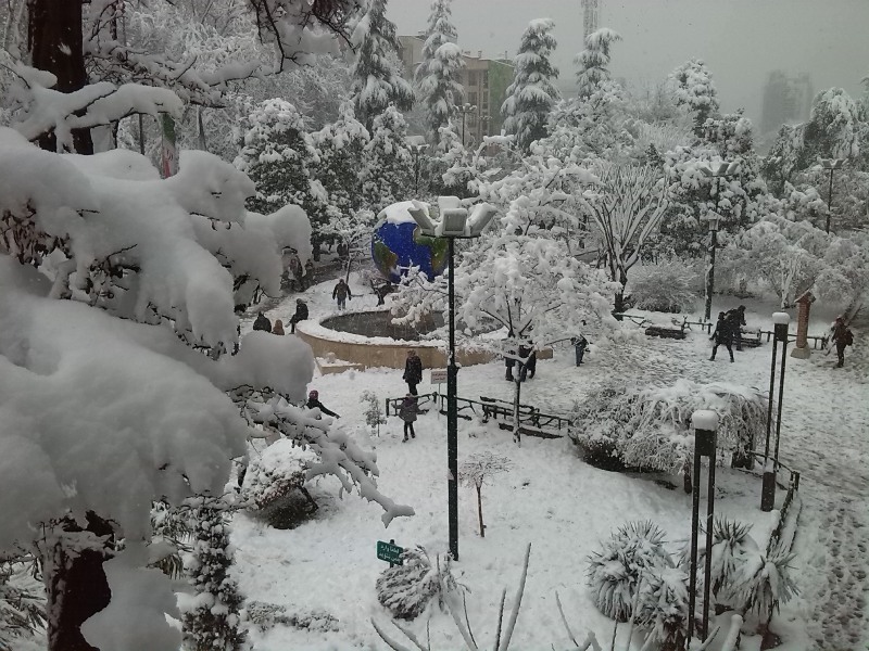 زمستان در بوستان شریعتی