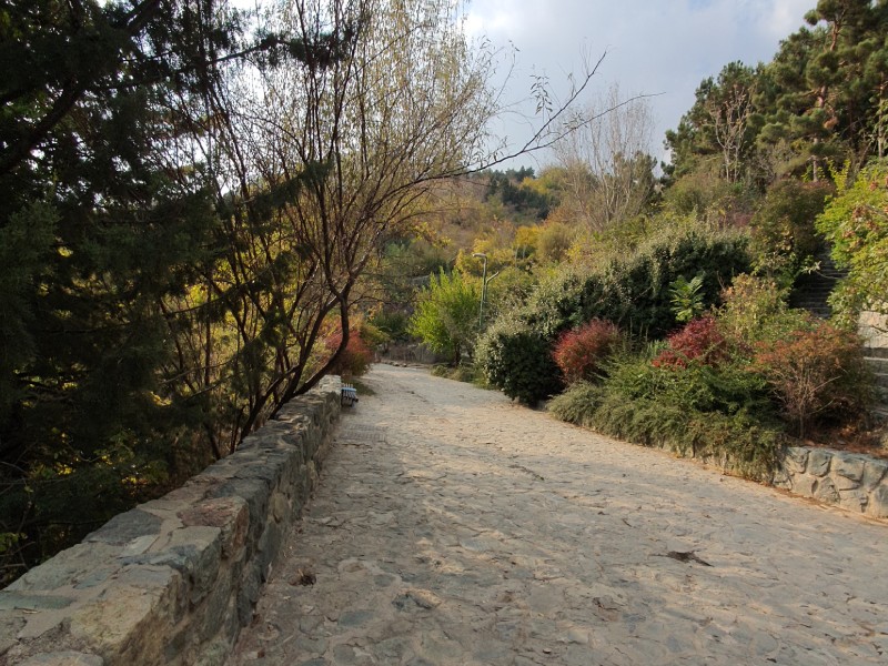 مسیر پیاده روی پارک جمشیدیه 