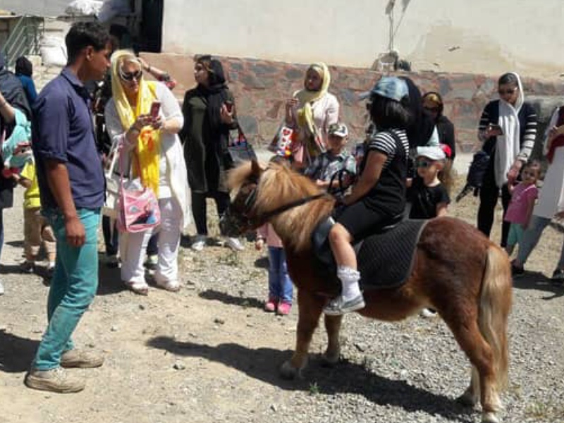 سوارکاری کودکان با اسب