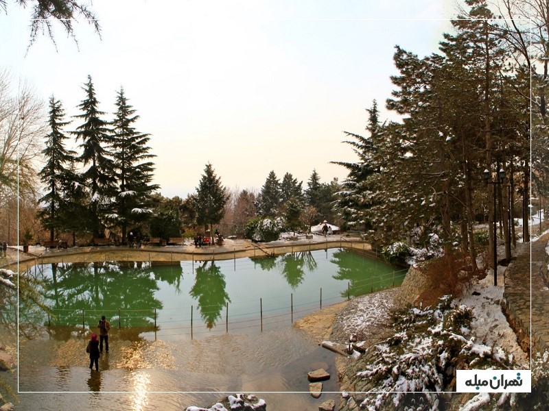 13 بدر تهران در پارک جمشیدیه