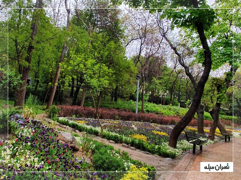 13 بدر در پارک قیطریه