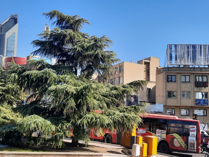  محله ونک تهران