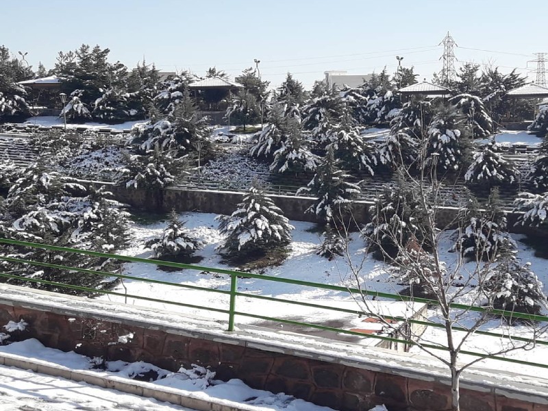 پیاده روی در پارک مهرگان