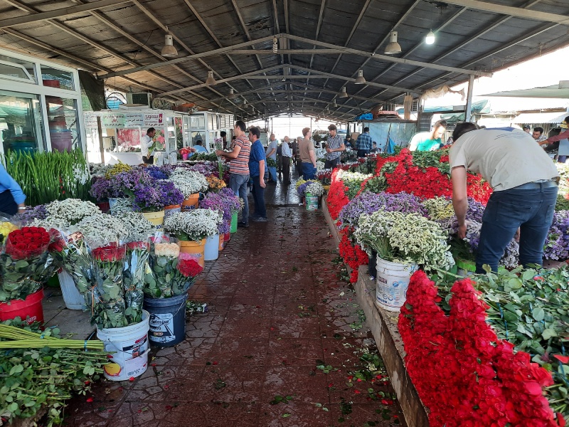 بازار گل خاوران