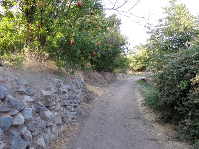 روستای قجر شهریار