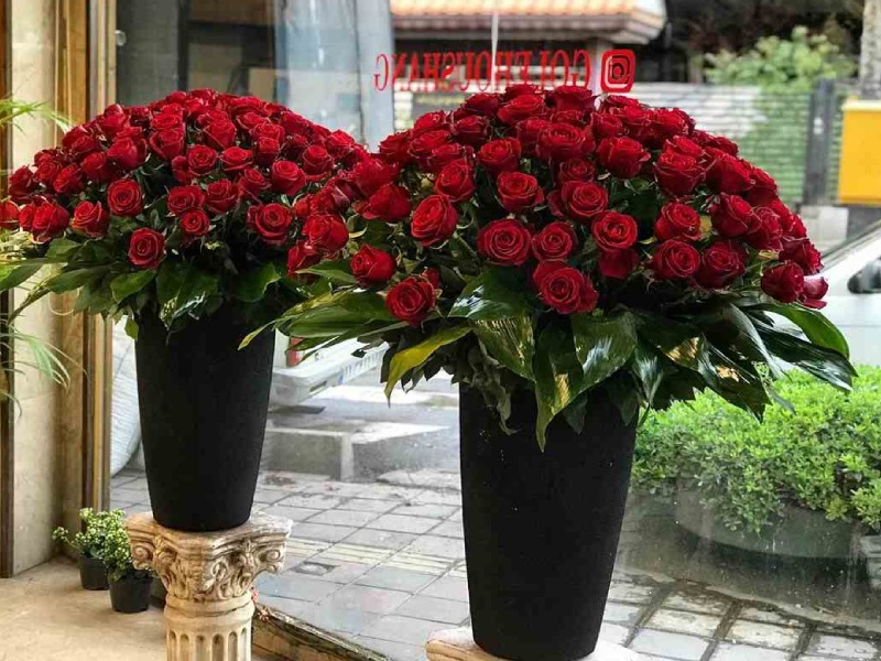 لیست گل فروشی شمال شهر تهران