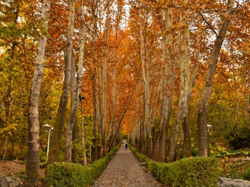 مسیر پیاده روی پارک جمشیدیه