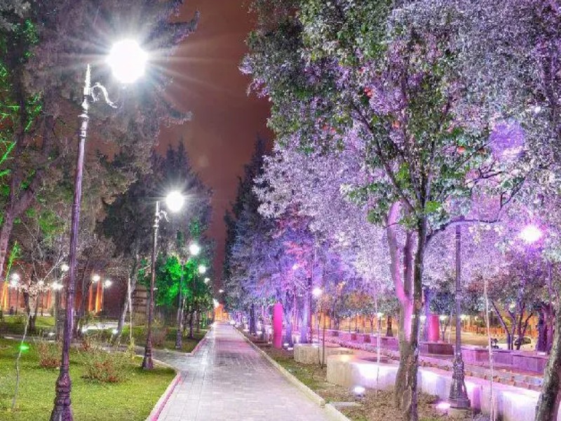 پارک ولایت در شب