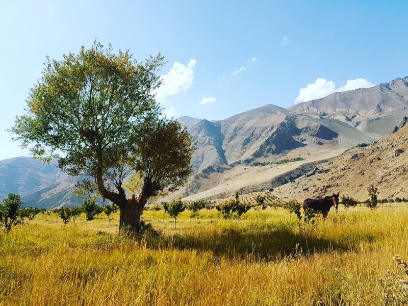 جاهای دیدنی اطراف تهران پاییز