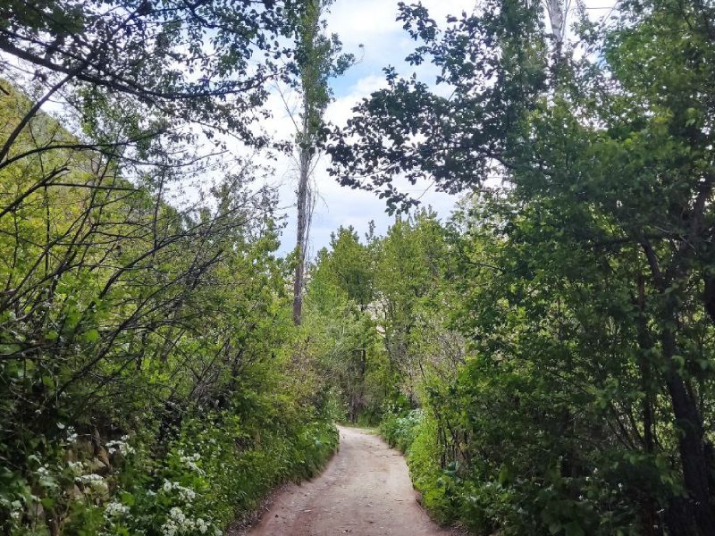 کوچه باغ از جاهای دیدنی شهرستانک