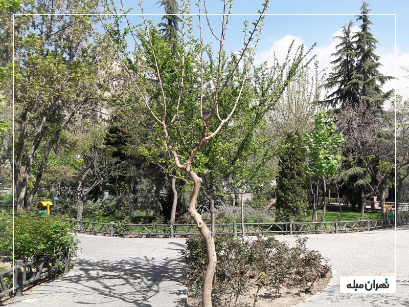 بوستان آرارات تهران