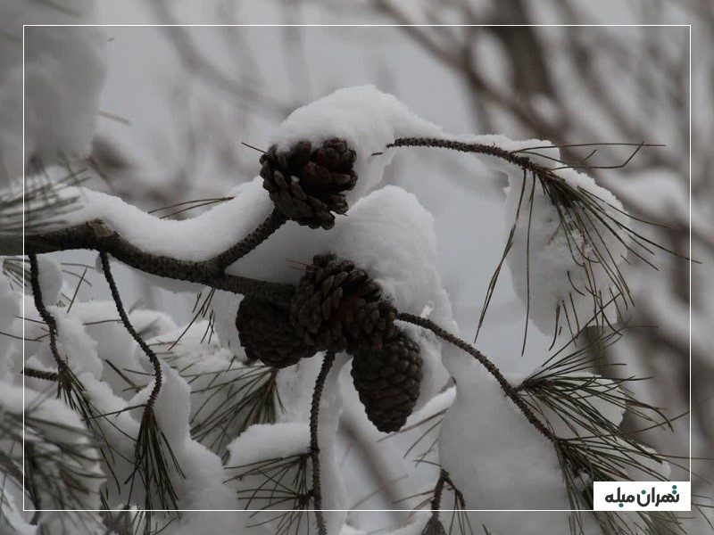 تهران دیدنی در زمستان