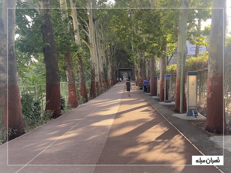 جاده تندرستی