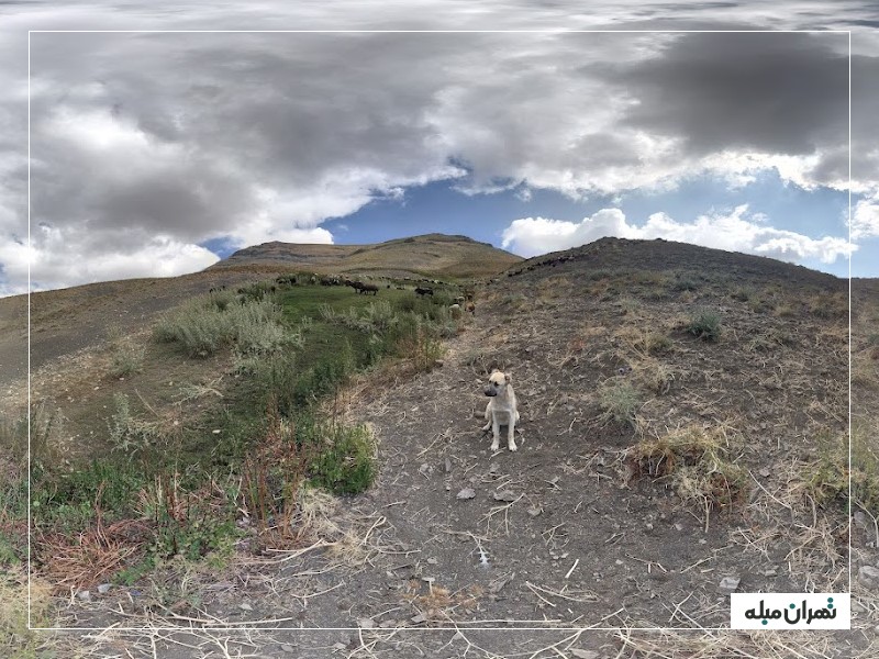 دره پیازچال در تهران