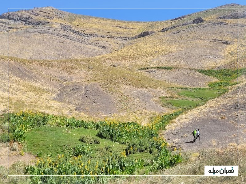 دشت پیازچال 