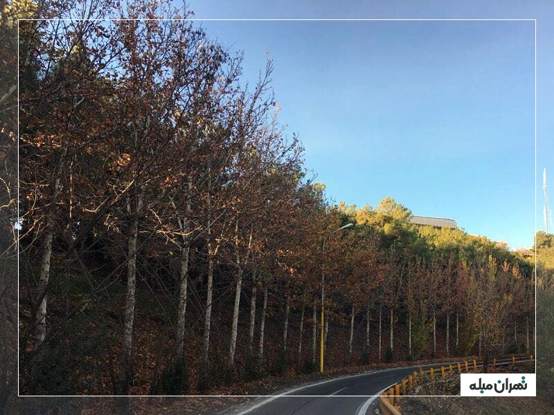 پارک جنگلی سرخه حصار با طبیعتی بکر در شرق تهران