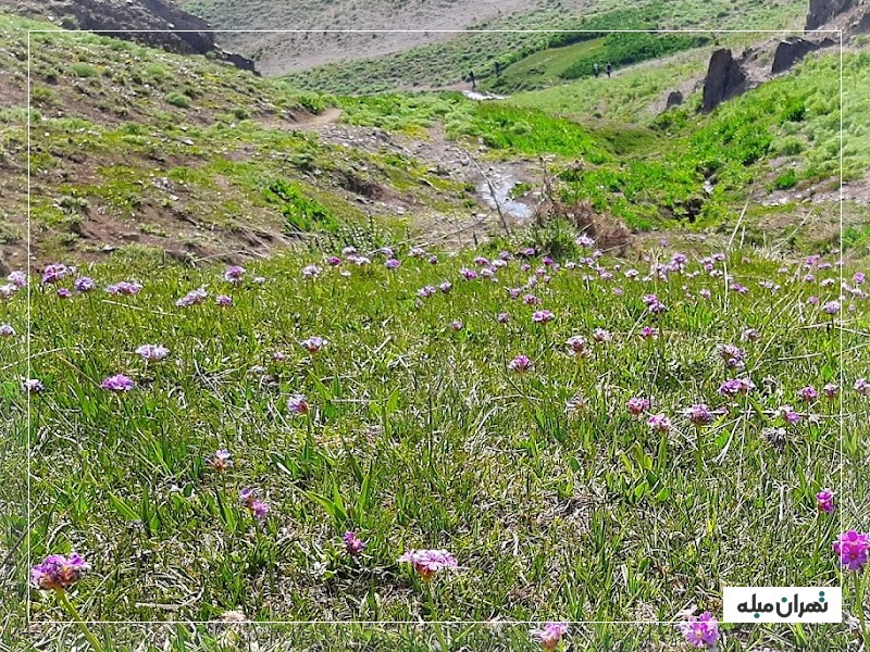 طبیعت دره پیازچال