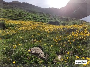 دره پیازچال تهران؛ بهشت طبیعت‌گردی نزدیک پایتخت