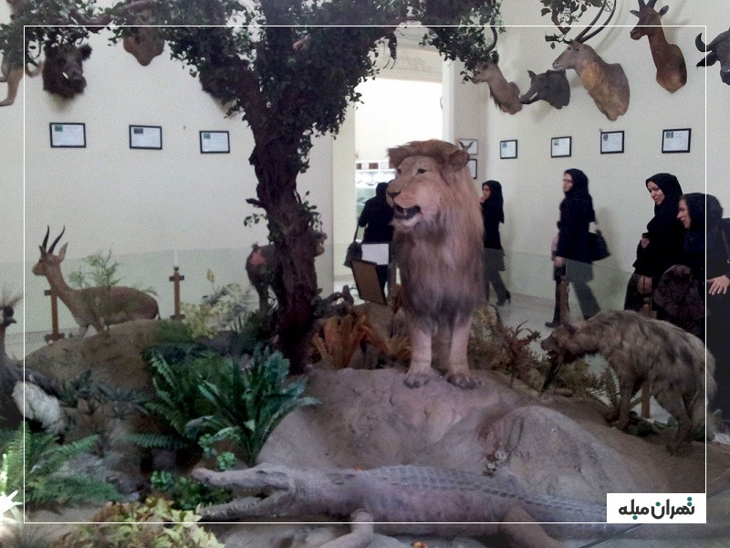 موزه حیات وحش هفت چنار در محله بریانک