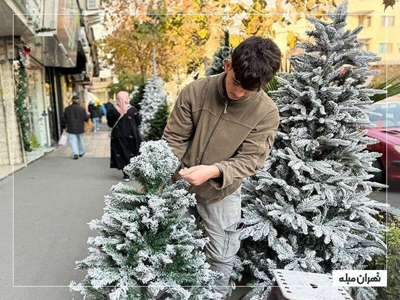 میرزای شیرازی در کریسمس