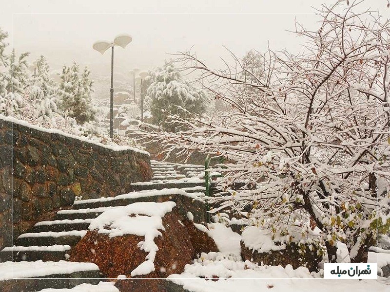 پارک جمشیدیه در زمستان برفی