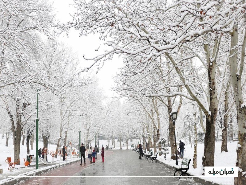 پارک ملت پوشیده از برف