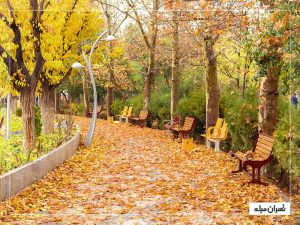 پاییز در تهران؛ زیباترین مکان‌های دیدنی پایتخت در فصل هزار رنگ